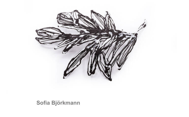 251215 bjoerkmann 768x477