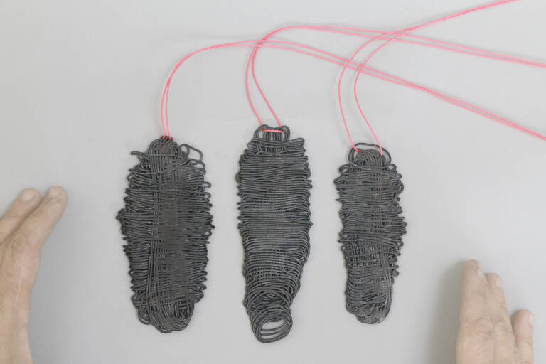 Verpuppung StefanieHeringer 768x512