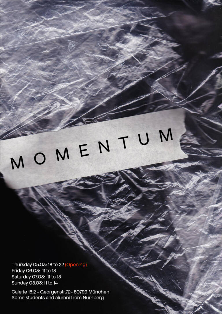 momentum final 768x1083