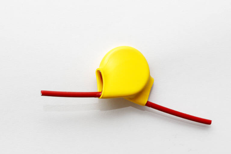 wilde brosche JorgEuteneuer 768x512